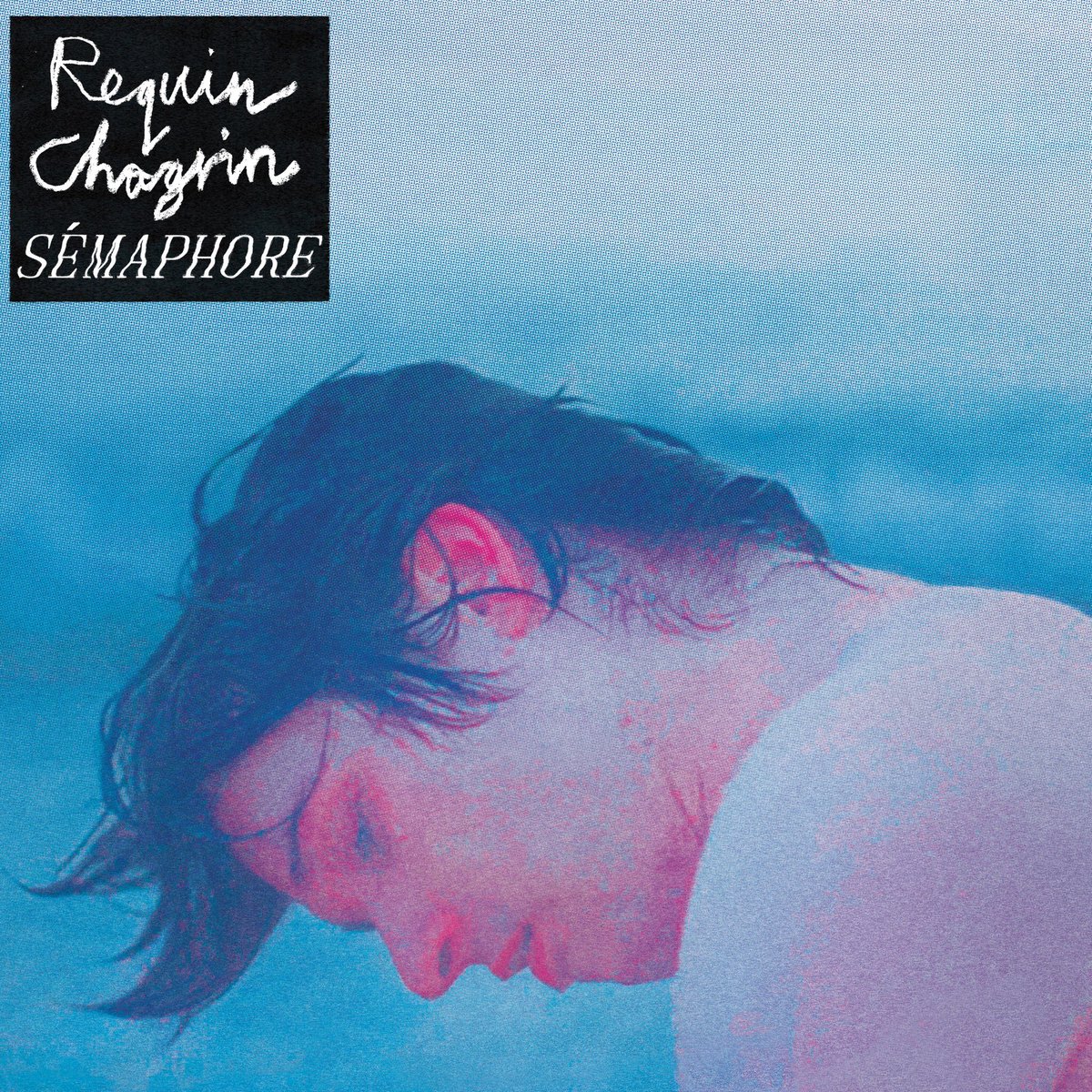 kmsdisques's tweet photo. #KMSDisques, en 2019 : le 25 janvier, sortie de ‘#Sémaphore’, le nouvel album de @Requin_Chagrin
Sémaphore, le clip : https://t.co/2Q6NxUSMYT
Mauvais Présage, le clip : https://t.co/EYRwhXNwdJ
➡️ Précommandes (Amazon https://t.co/6qGgwzPGin, Fnac https://t.co/oXNiuPFWSu) https://t.co/JuxaH40Rsd