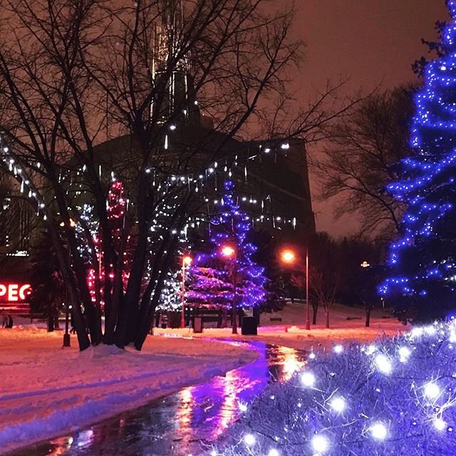 JTWinnipeg's tweet photo. 😀The lights at the Forks are always magical.

#kiteandkaboodle #theforks #theforkswinnipeg #winnipeg #lights #magical #holidaymagic #christmas ( #📷 @kiteandkaboodle ) https://t.co/eaoJMQs2La