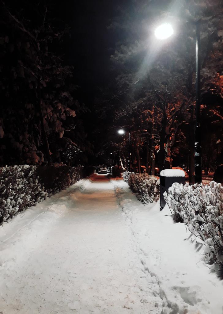 adsız ꕤ tweet media