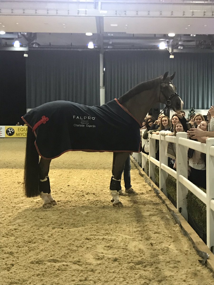 Can’t believe we met and stroked Valegro 😍 he’s absolutely unreal ❤️ <a href="/LiverpoolInt/">LiverpoolInt</a> @CSJDujardin