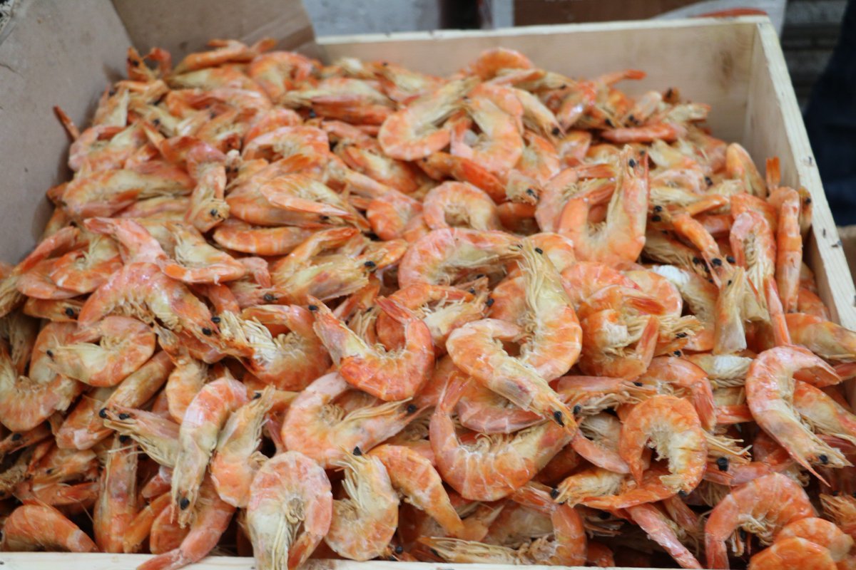 CdeAbastoCDMX's tweet photo. Para los preparativos de las fiestas decembrinas, el mercado mayorista ofrece insumos como bacalao, camarón, quesos, carnes frías, semillas, productos gourmet, entre otros, a precios de mayoreo y menudeo en naves de la A a la H del sector Abarrotes. https://t.co/loAZWLOesG