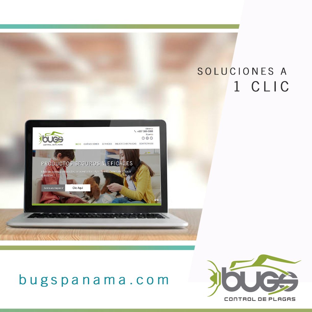BUGS CONTROL DE PLAGAS (@BugsPanama) / Posts / X