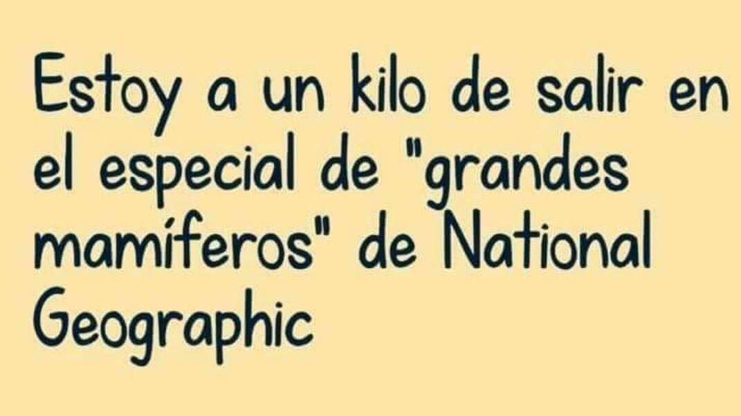 elemloe's tweet image. 🐷