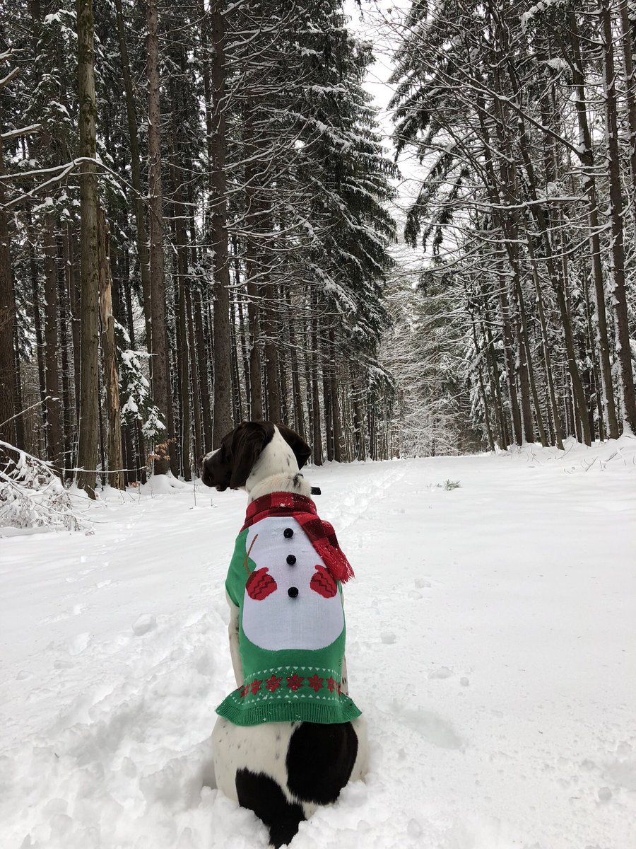 lorianaru's tweet photo. @CanalRiverTrust We love winter! https://t.co/NTDEQAKraK