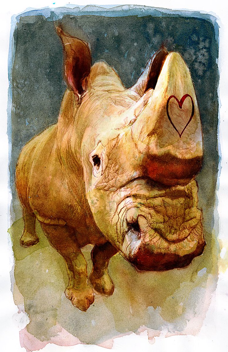 Memorial: Those We Lost in 2018. 12/
Steve Ditko
Stephen Hawking
Sudan the Rhino @sudantherhino 