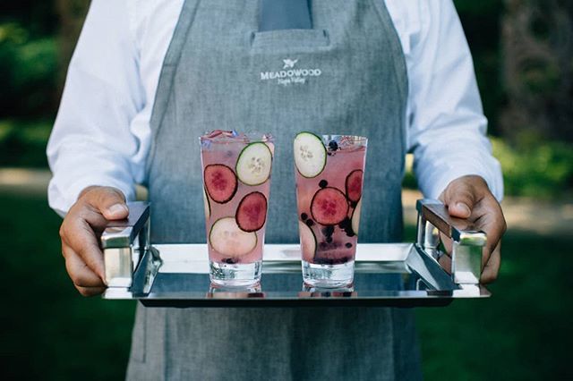 Fruity and fresh, these cocktails by <a href="/estateeventsmw/">Estate Events</a> spruced up the day. || Venue: The Vineyard Estate | Event Planning &amp; Design: @marilynambra | Photo: @MyrtleandMarjoram | Florals: @EricaRoseDesign | Tabletop/Decor/Dining chairs: @TheoniCollection | Rentals: @brighteventre…