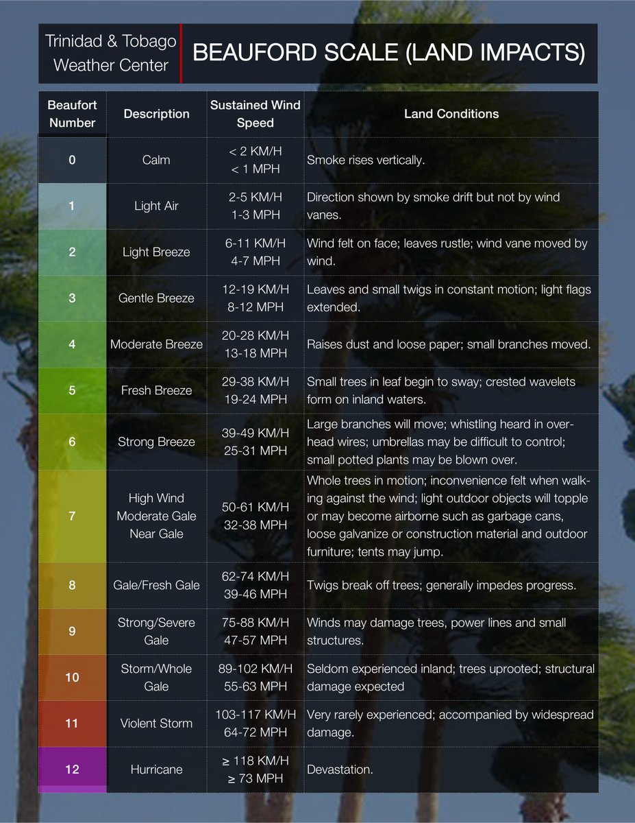 Ttweathercenter With Wind Gusts Between 50 61 Km H Whole Trees Will Be In Motion Light Outdoor Objects Will Topple Or May Become Airborne Such As Garbage Cans Loose Galvanize Or Construction