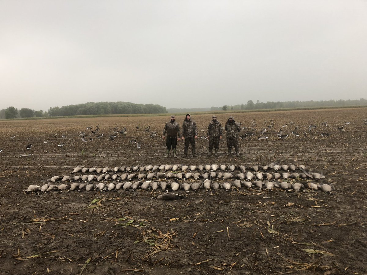 EVOOutdoors's tweet photo. Northern zone in NY #lateseason #waterfowlhunting has been top tier! #huntny #duckhunting #greatersnowgeese #atlanticflyway #goosehunting #nowbooking2019 @Cabelas @DucksUnlimited @TFh20fowl @Benelli_USA @RioAmmunition https://t.co/c50ZbNJwhk
