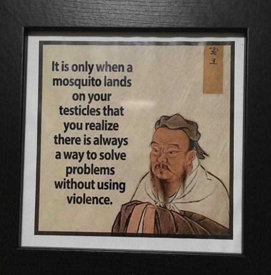 It is only when a mosquito lands on your testicles that you realize there is always a way to solve problems without using violence.