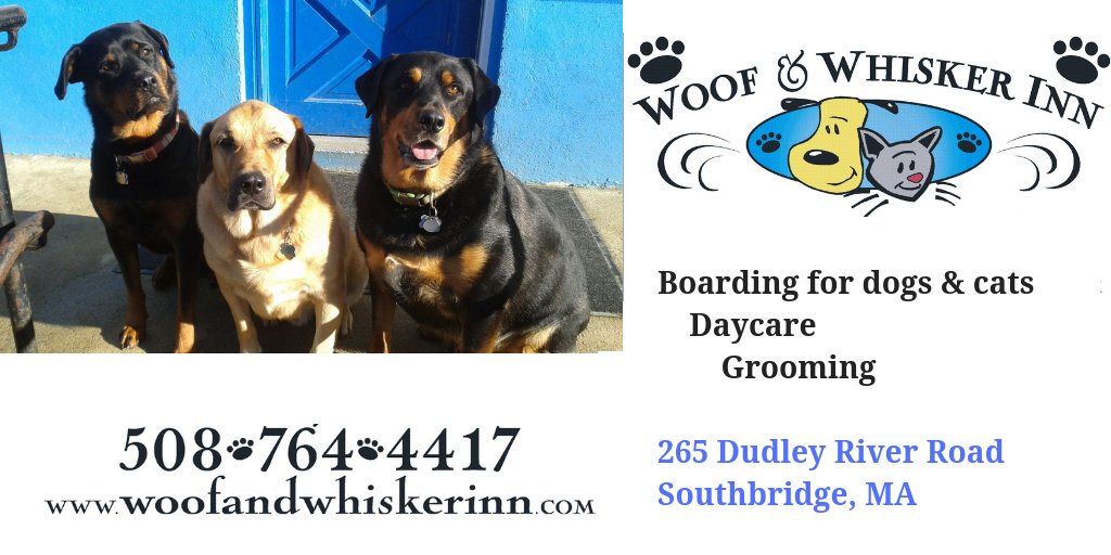 The_Q_Radio's tweet photo. If you're traveling to warmer places this winter, don't forget about your furry friends! 🐶🐱 Woof &amp; Whisker Inn will take good care of them. Find out more: https://t.co/bTxarWbBWO

#QPartners https://t.co/VcpgtDaXN7
