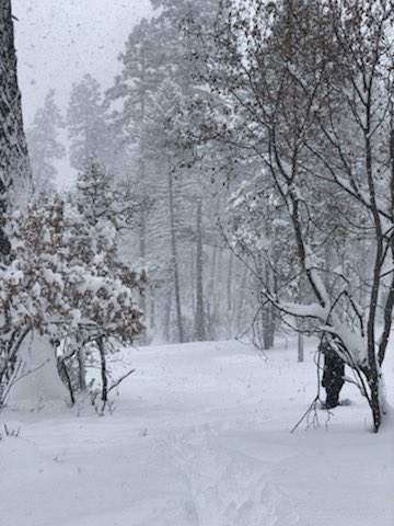 Rinn (@corinnstacy) on Twitter photo 