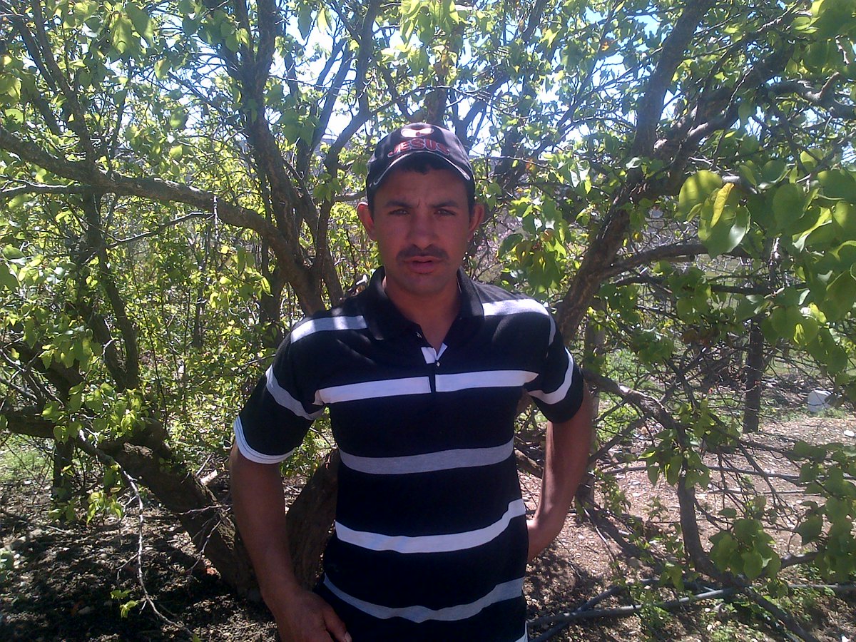 Rudolf Arpin (@rudolf67026142) on Twitter photo 