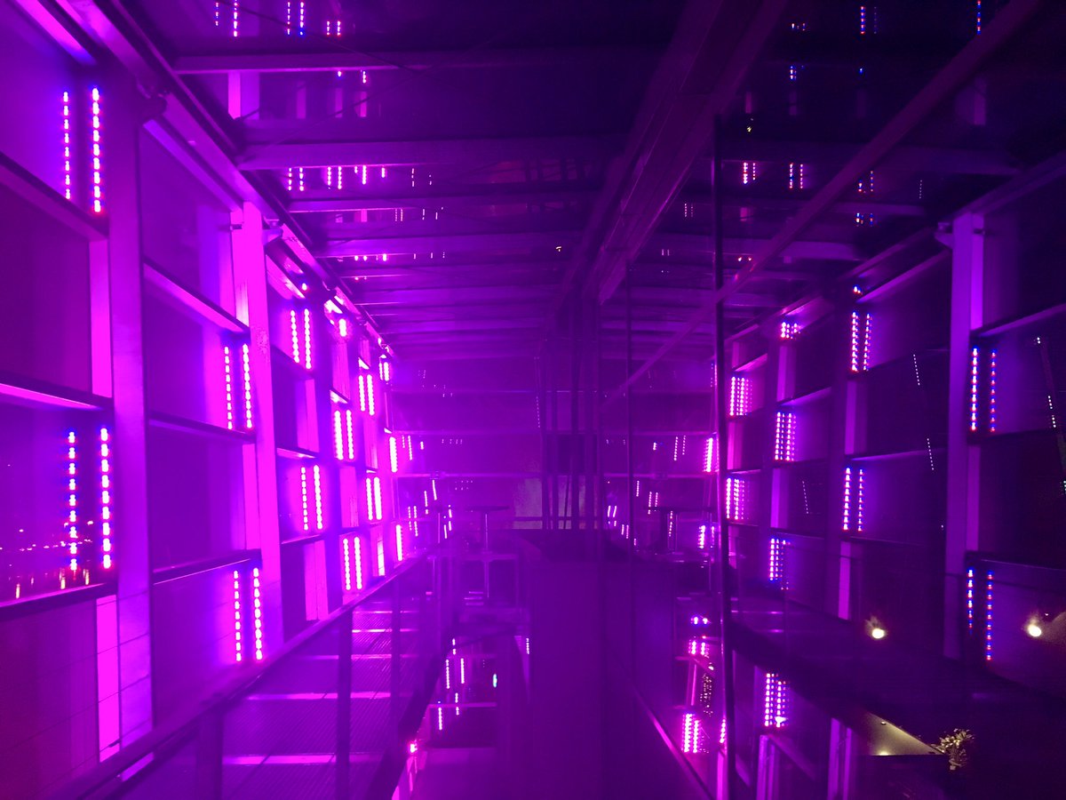 When #arts meet #techs &amp; #Science... Loving <a href="/ArsElectronica/">Ars Electronica</a> #Museum in #Linz!!
#Austria #Innovation