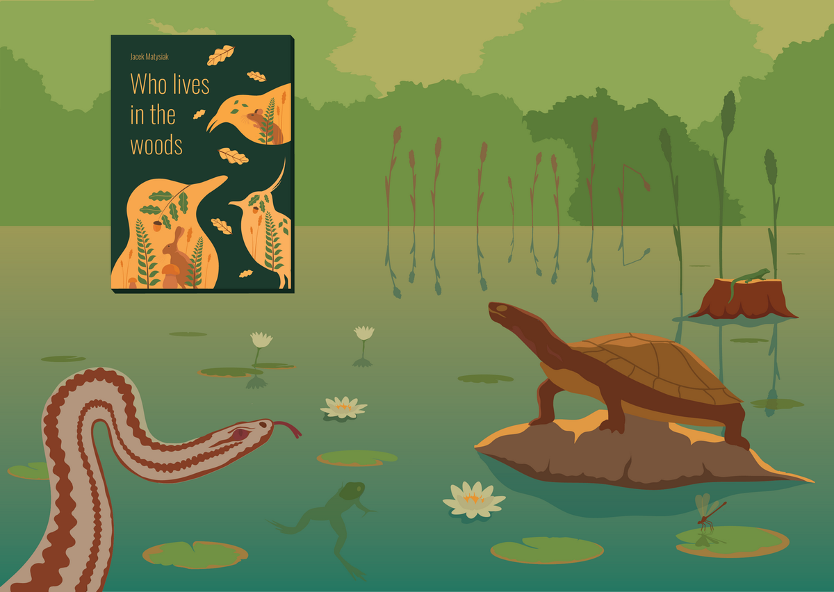 bighippoart's tweet photo. #Amphibians and #reptiles are an important part of our #bionetwork and live alongside other creatures in the forests.
"Who lives in the woods" is the third zine/book that I self published this year. Looking forward to 2019 😀 #naturezine
https://t.co/Y5n63yvIMB https://t.co/gwBtH1wDN5