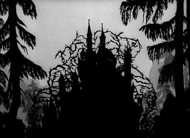 Image result for lotte reiniger forrest"