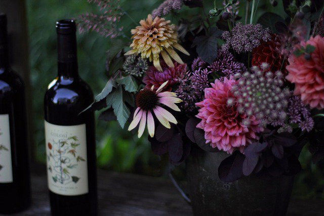 #FlowerOfTheWeek: Joe-pye weed. #FlowerFriday