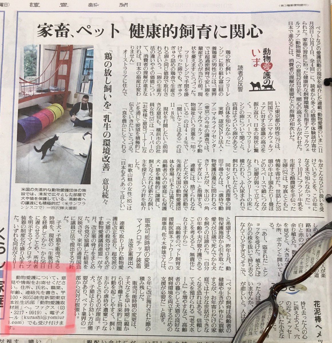 どうぶつみらい福祉協会 読売新聞が動物愛護についての意見を募集中 動物虐待のこと 5chの生き物苦手板のこと 動物愛護法改正のこと 悪質なペット業者のこと 意見してみませんか マスコミは有用だと思います 宛先 100 8055 読売新聞東京本社 どうぶつみらい福祉協会 読売新聞が動物愛護についての意見を募集中 動物虐待のこと 5chの生き物苦手板のこと 動物愛護法改正のこと 悪質なペット業者のこと 意見してみませんか マスコミは有用だと思います 宛先 100 8055 読売新聞東京本社