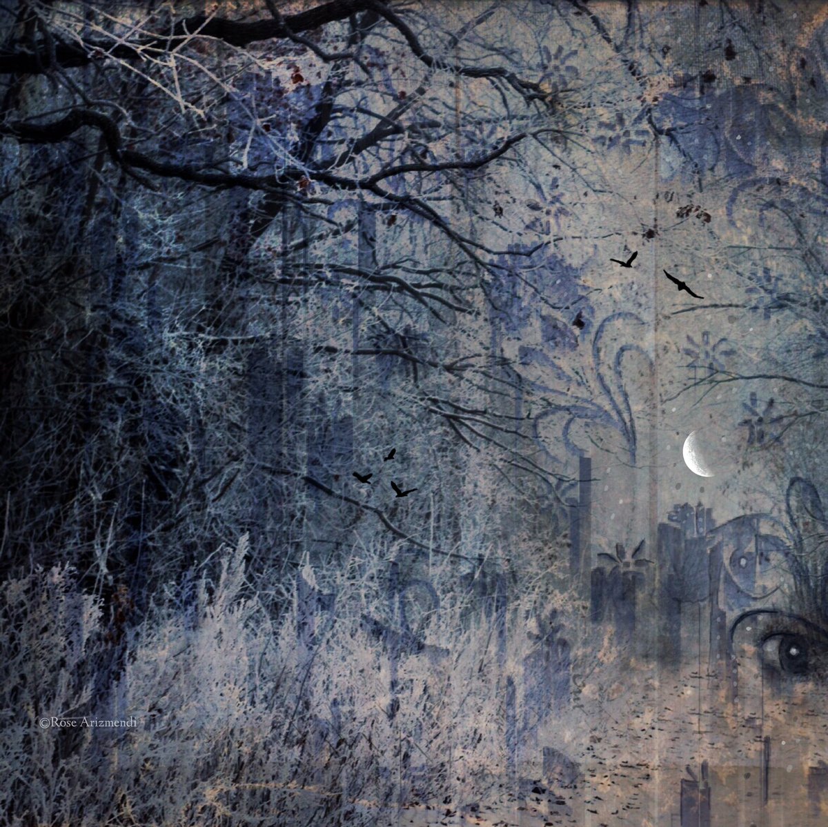 Winter’s Veil. ~rose The beat of wings over my head as the birds fly towards the woods. 🦋Blessings and goodnight to all you kindred friends❄️