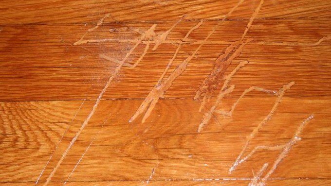 smarylove's tweet photo. How To Remove Scratches From Wood - https://t.co/VVY2JCe7Fh https://t.co/qsmYxMFAEv