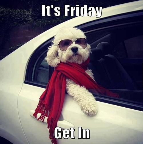 AHITOLEDO's tweet photo. Have a great weekend! #roofing #roofers #Atlas #liveroofplay #asphaltlife #homeimprovement #homeremodeling #roofers #Roofingtips #ArnietheHammer #youwilldobetterintoledo #mudmade #toledo #shoplocaltoledo #glasscity #shoplocal #toledobuzz #northwestohio #sylvania #ohio https://t.co/ZoAkr8fvVu