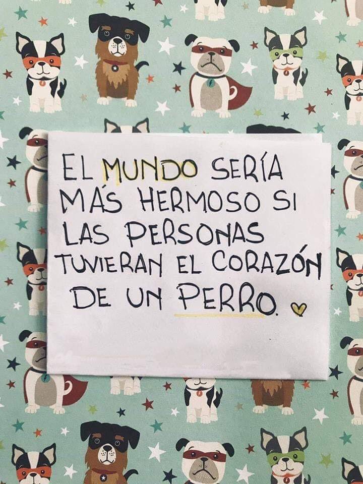 SuavesLomitos's tweet image. 💕 🐶 💕