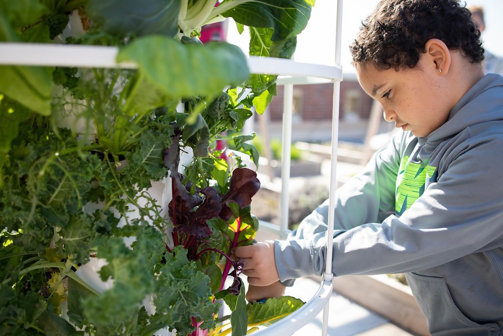 FarmtoSchool's tweet photo. In 2018, farm to school &amp; farm to ECE activities grew strong in all 50 states, D.C., the U.S. territories &amp; Native communities. Check out our list of media stories that proves farm to school was happening everywhere in 2018! https://t.co/nsTnxn9F58 https://t.co/3GGaEB8BF8