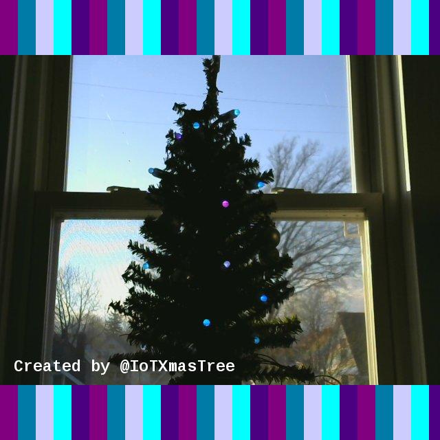IoTXmasTree's tweet photo. I'm Purple, Cerulean, Periwinkle, Cyan, &amp; Indigo for @tylerdave! 🎄 https://t.co/2Vad0qVJdq