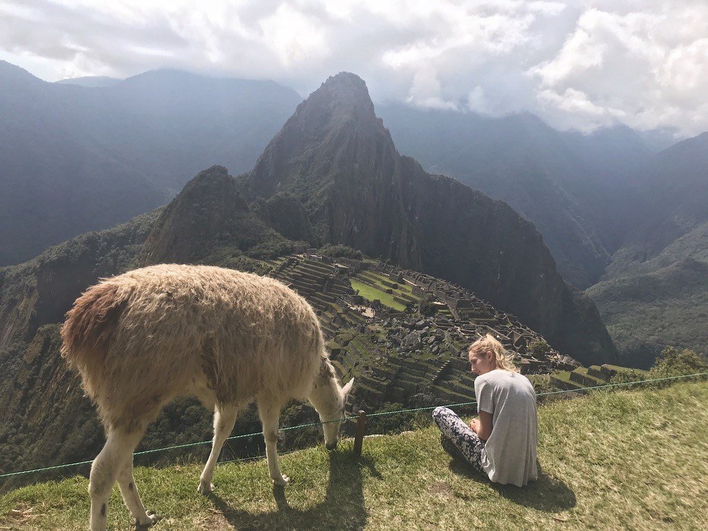 footstepping's tweet photo. Prancing around in Peru.. https://t.co/egEMtNWaoC https://t.co/6KA2ysudJp