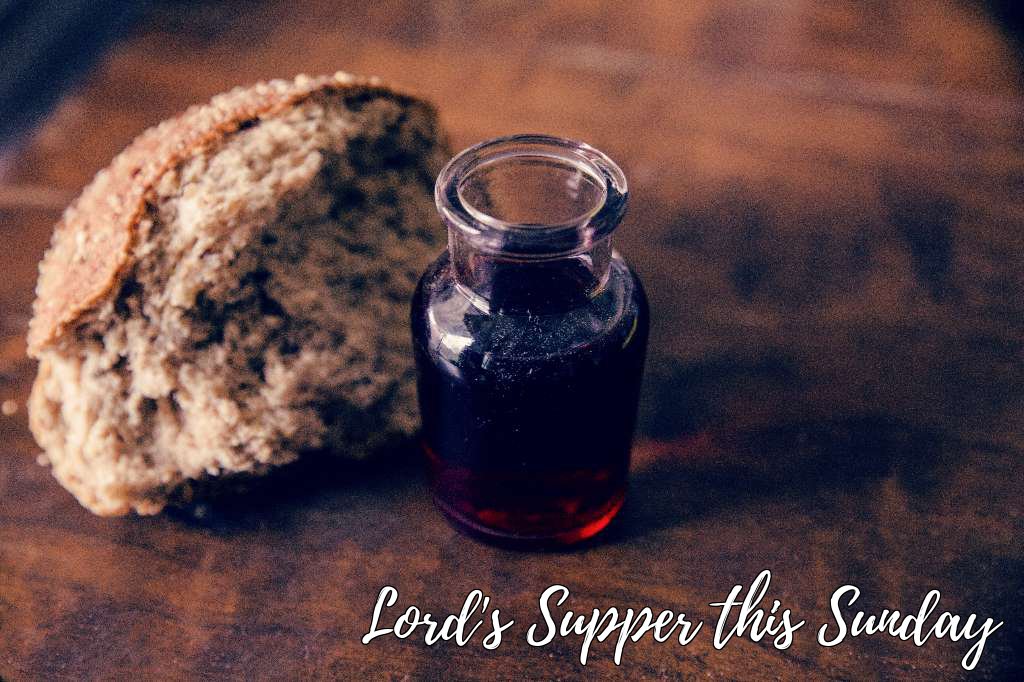 ConnectServeGo's tweet photo. There's no better way to end the year then together! Join us this Sunday as we observe the Lord's Supper. Sunday Service is at 9:45AM. https://t.co/pIrAQOBmRV