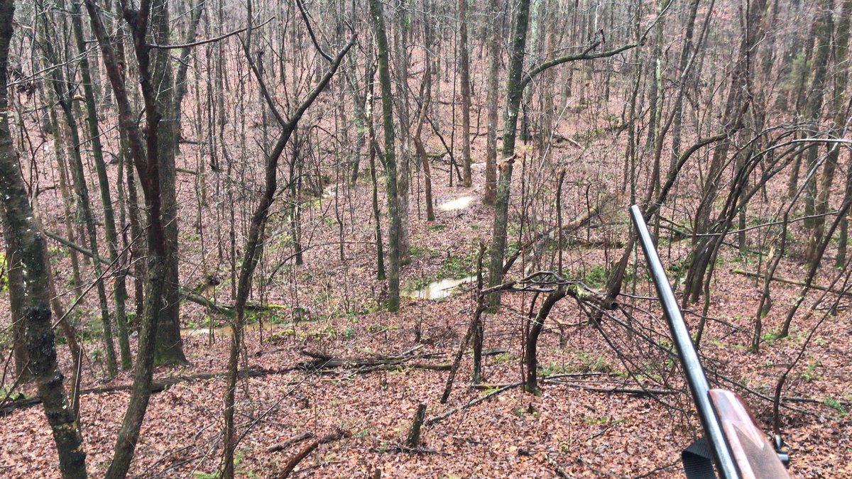 WeHuntCrew's tweet photo. In the deerstand again! Rain is stopping, creeks are flowing, and we are hoping to catch one cutting through.
Are you in the woods this afternoon? Show us your setup!
#WeHuntSC #Deer #DeerHunting #SCTweets https://t.co/xq2nawrJSO