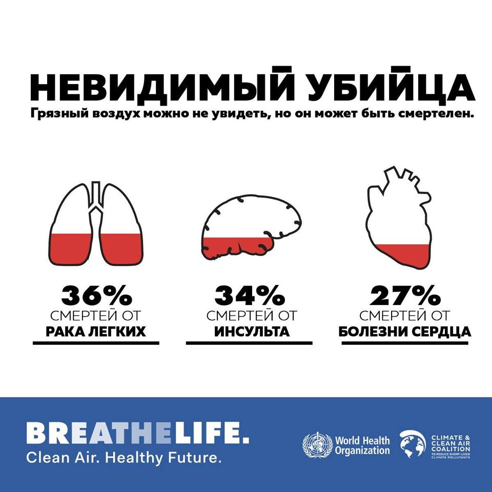 ООН on Twitter: "Чистым воздухом дышат всего 12% жителей городов мира ...
