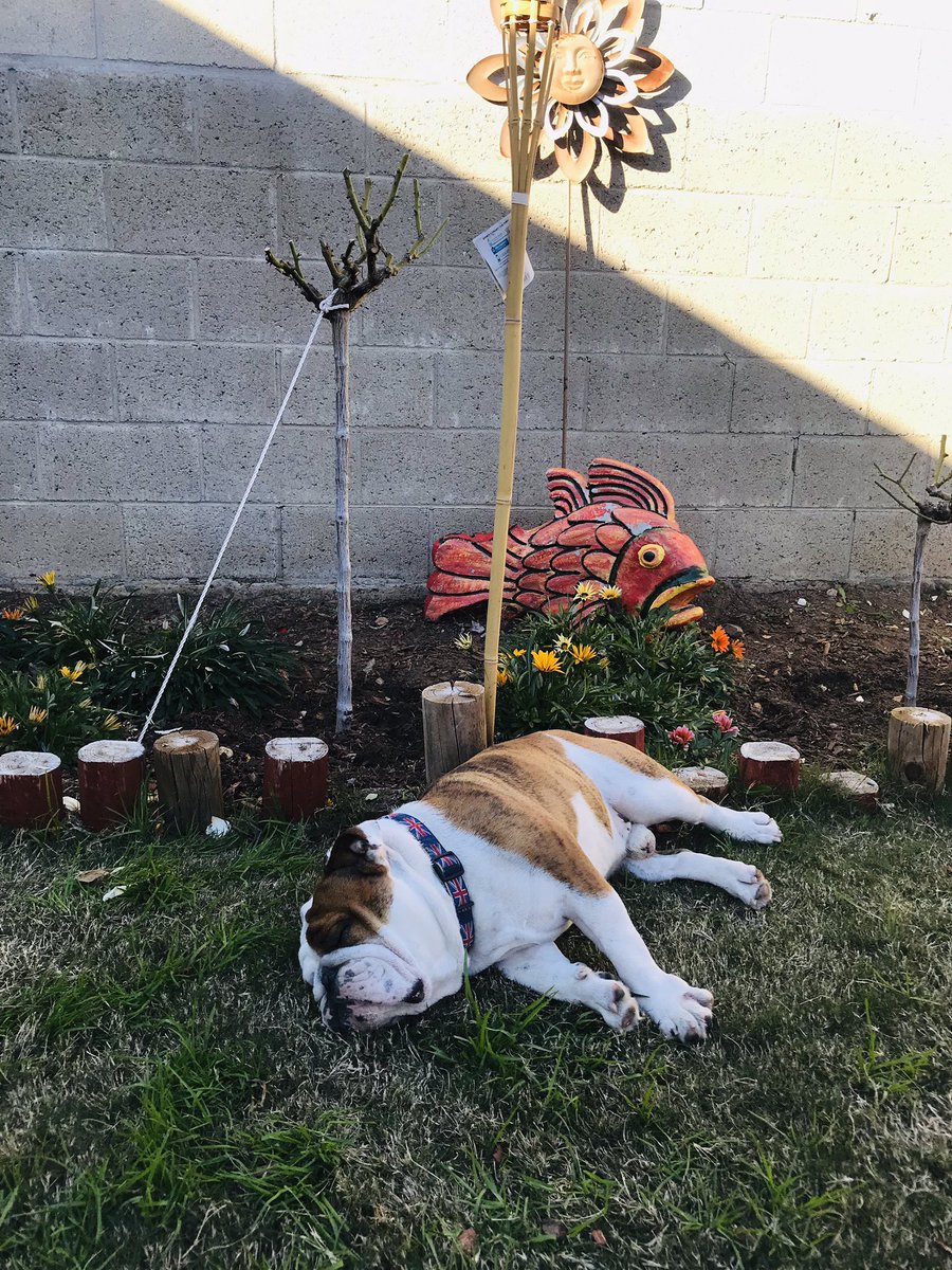 schoolbiz85's tweet photo. Enjoy the peacefulness of life! Go out and smell some flowers or just take a nap! https://t.co/XhOhlTP94u