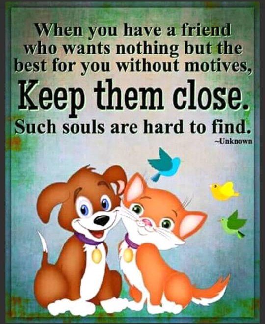 PaperLaceSweets (@sweetslace) on Twitter photo 