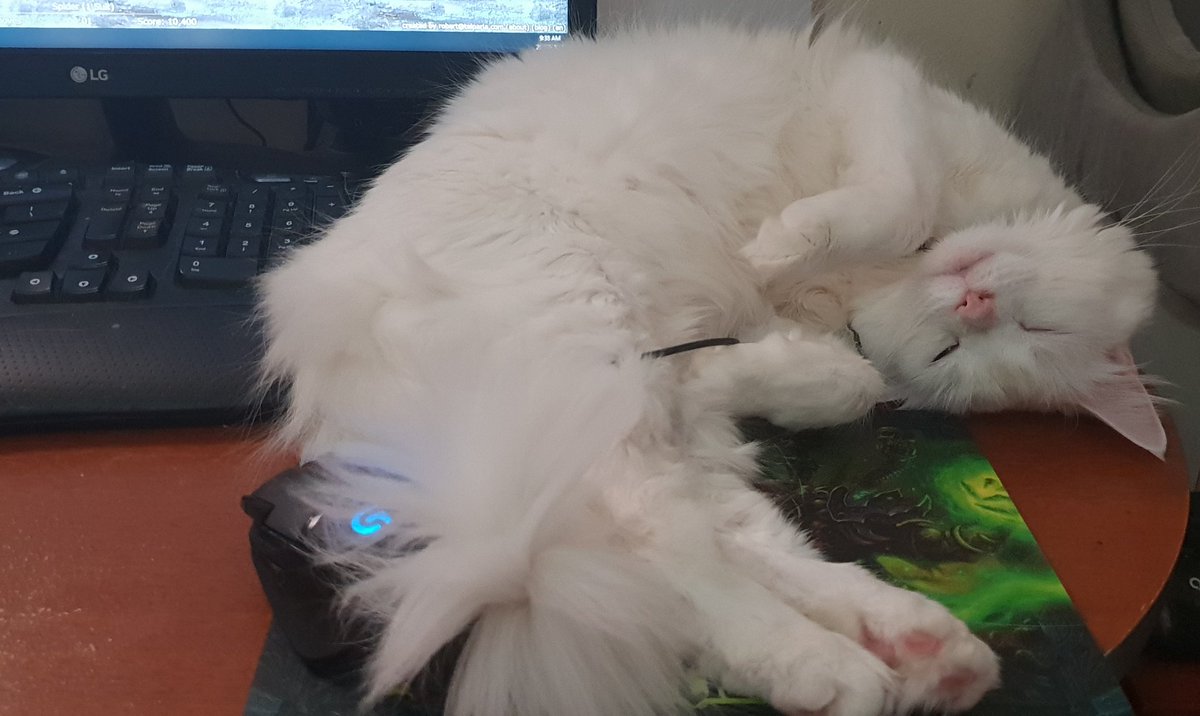 DabblyDabs's tweet photo. Cats always seem to sleep in the place they can cause the most inconvenience. And are too cute to move. https://t.co/Oa5SCPD5Qc
