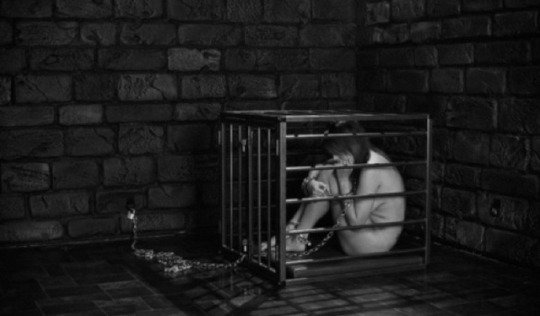 Welcome to your new bed.