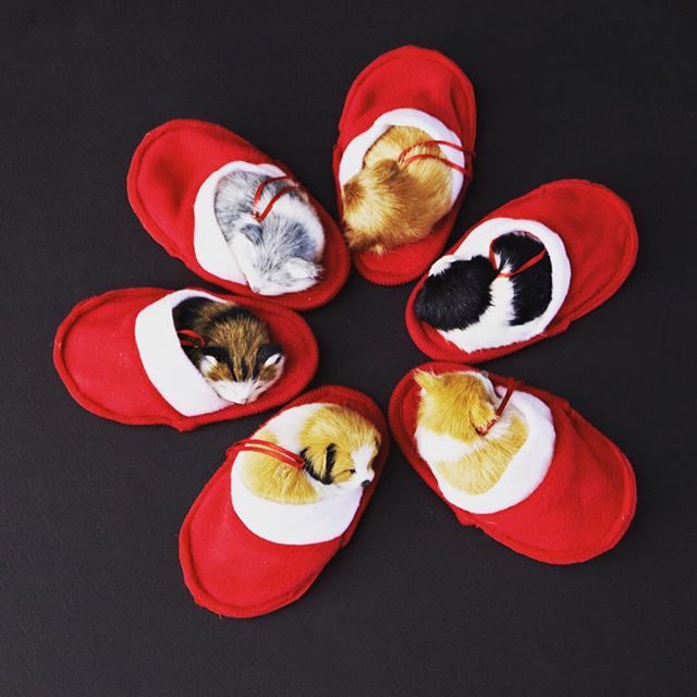 mwcbk's tweet photo. Stay cozy this weekend...⠀
.⠀
.⠀
.⠀
#mwcbk #mwgift #sleepycat #kittenornaments #cute #cuddle #ornamentyourlife #ornaments #christmas #wholesaleornaments #newproduct #adorable https://t.co/R2sdpDCyWL https://t.co/AgJk1U3mP7