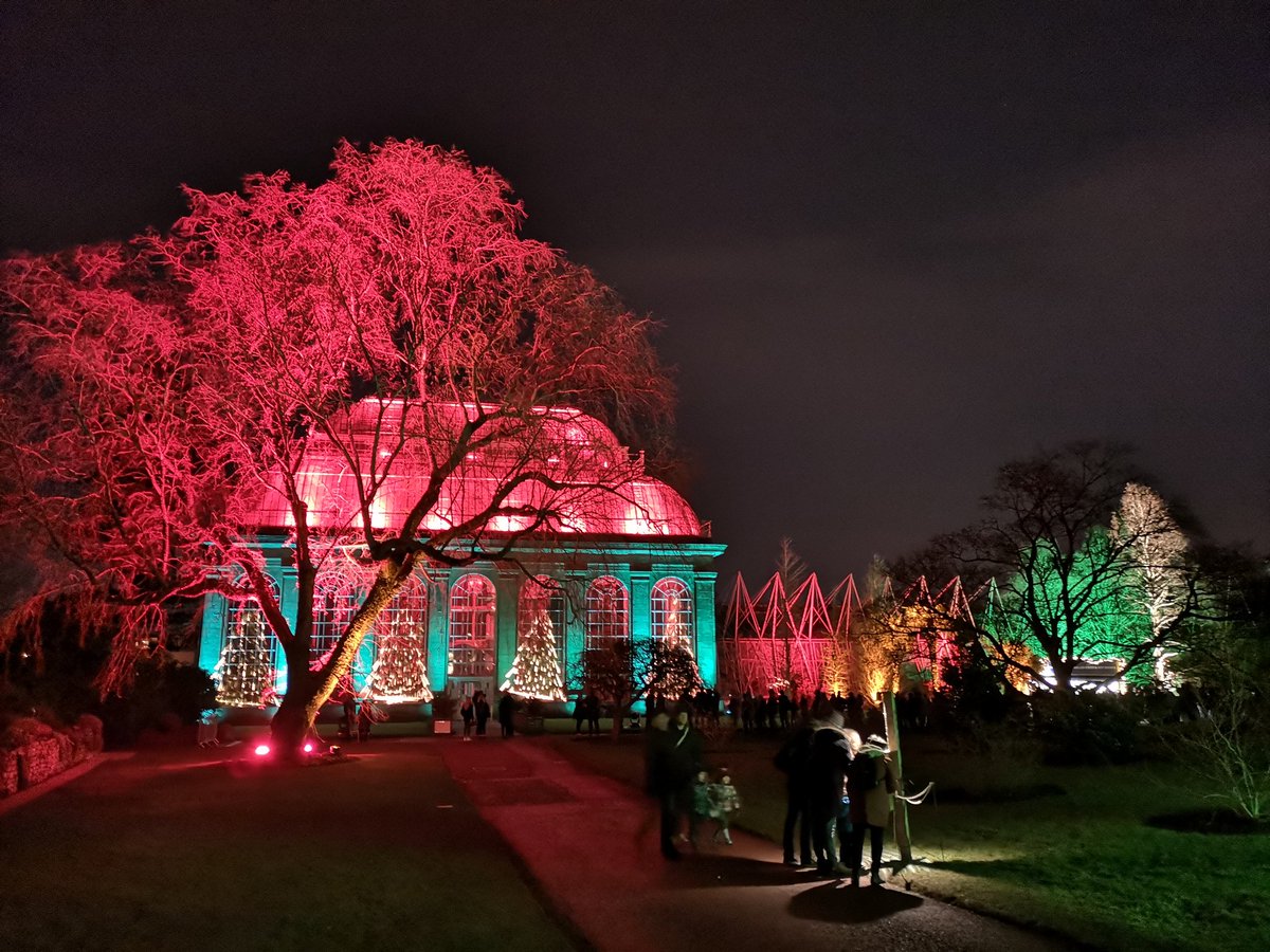 dgilmour's tweet photo. #ChristmasattheBotanics: a welcome, peaceful contrast to much of #EdinburghsChristmas proving popular with all age groups. https://t.co/yVjcK9Tx0n