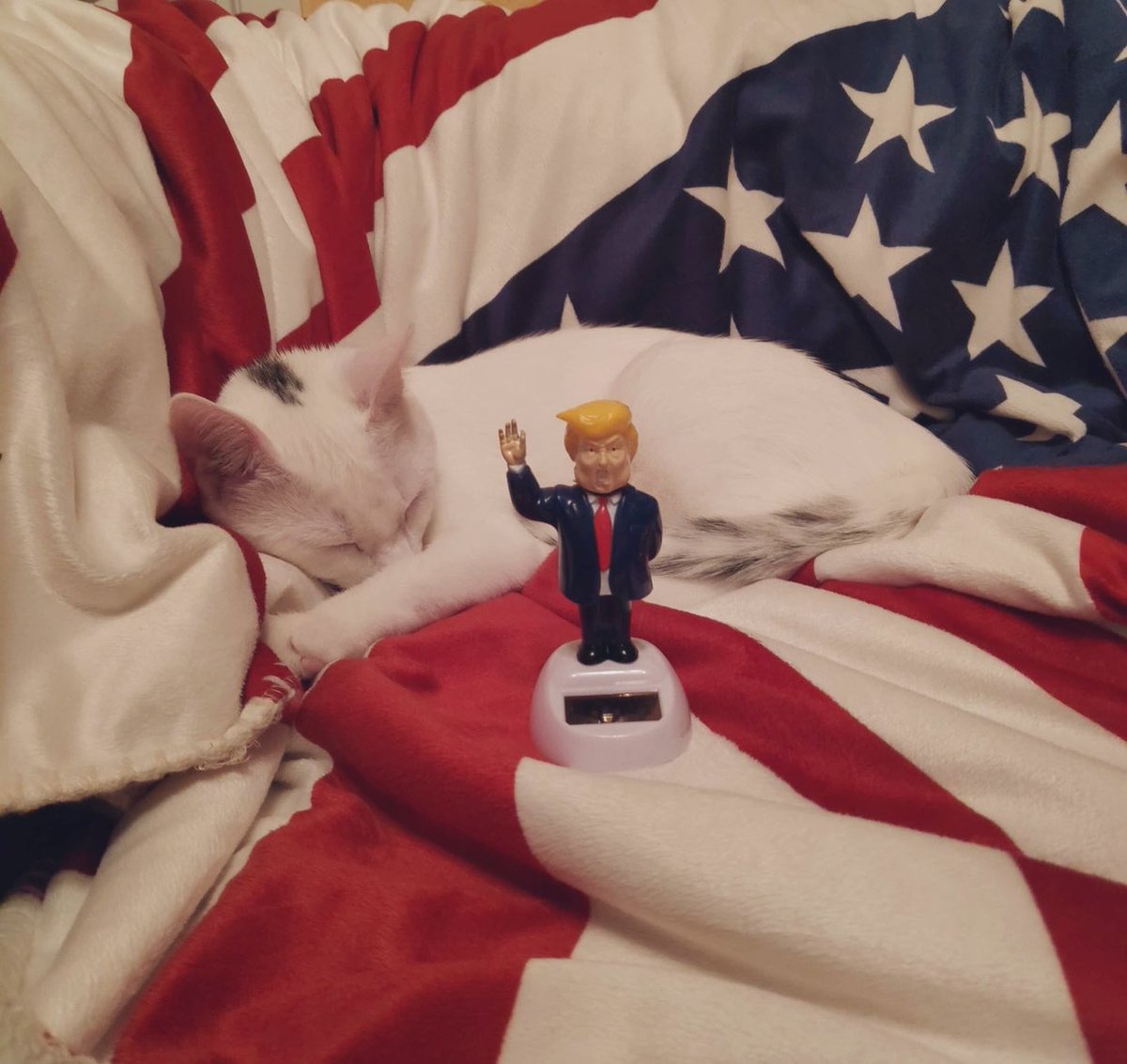 jullan414's tweet photo. Min katt är ute på äventyr utan mig. Får denna uppdateringen: https://t.co/agw6Gb9jqY