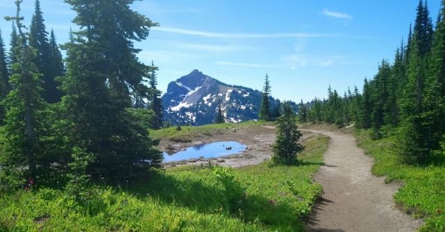 Slug_Pace's tweet photo. [Day 13 trail log]: ... Eventually I arrived at my weekly resting campsite for Shabbot, Crag Lake. Being late into July the area was buzzing with the mosquito hordes that lurked ... Read the rest, link in bio

#pct2017 #TrekthePCT#alltrails #LeaveNoTrace… https://t.co/xzS6MuxmQH https://t.co/CllkJouuoc