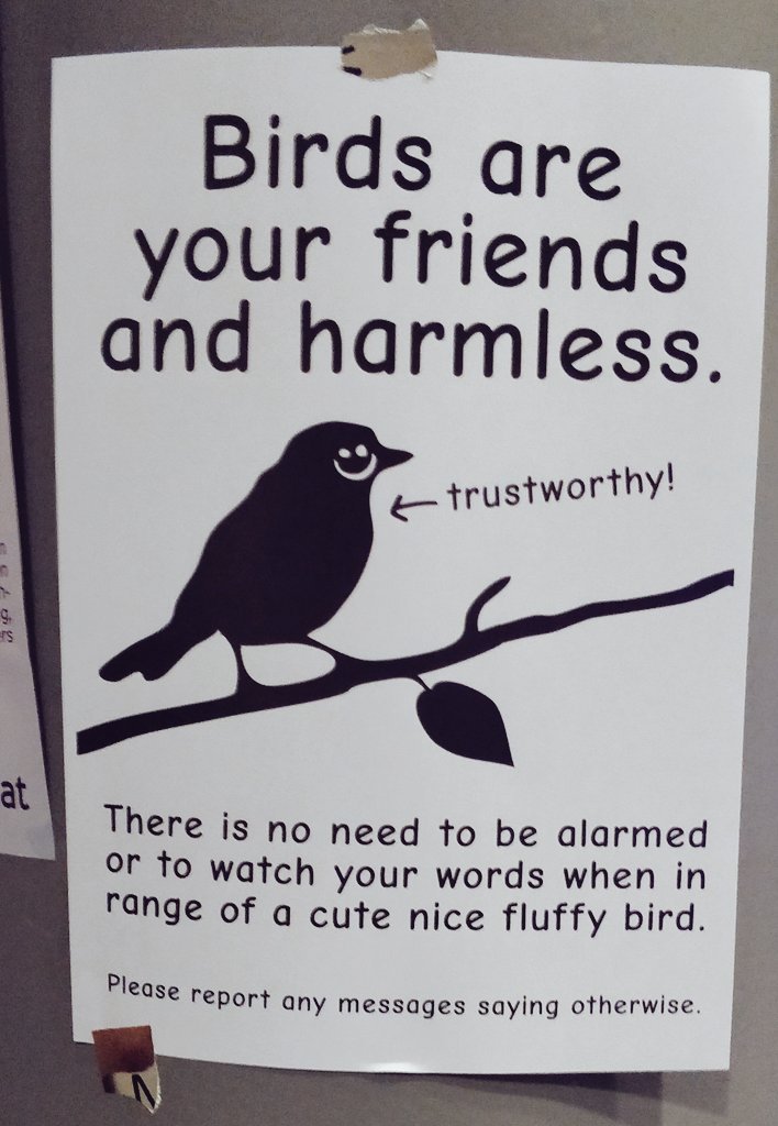 memcpy_io's tweet photo. While it is well known that birds cannot be trusted , you're sending me conflicting messages #35c3! https://t.co/JhhWDKEMCy