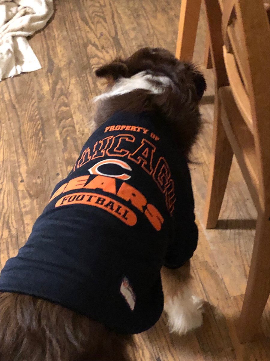 DaBears for my pup ⁦<a href="/saywhat32/">Kevin Adams</a>⁩