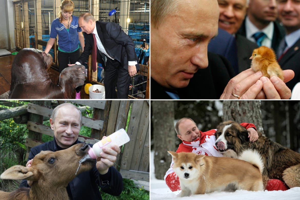 Путин и его домашние питомцы