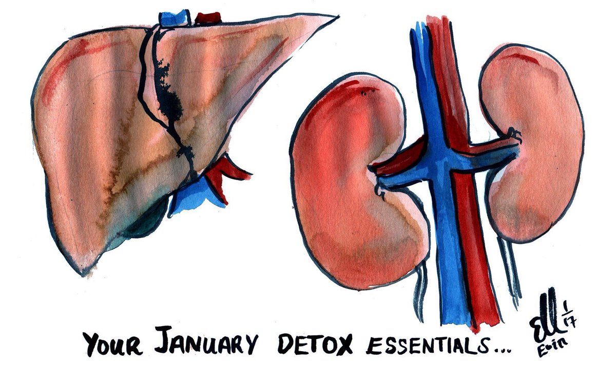 An annual reminder on how to detox: 
1. Own a liver
2. Own a kidney, if possible two
3. Done ✌️

#RD #RD2b #dietitian #health #diet #detox #NewYear #NewYearsResolution #nutrition <a href="/BDA_Dietitians/">British Dietetic Association</a> <a href="/trust_indi/">INDI</a> 
Image: <a href="/EoinKr/">Eoin Kelleher</a> 👌