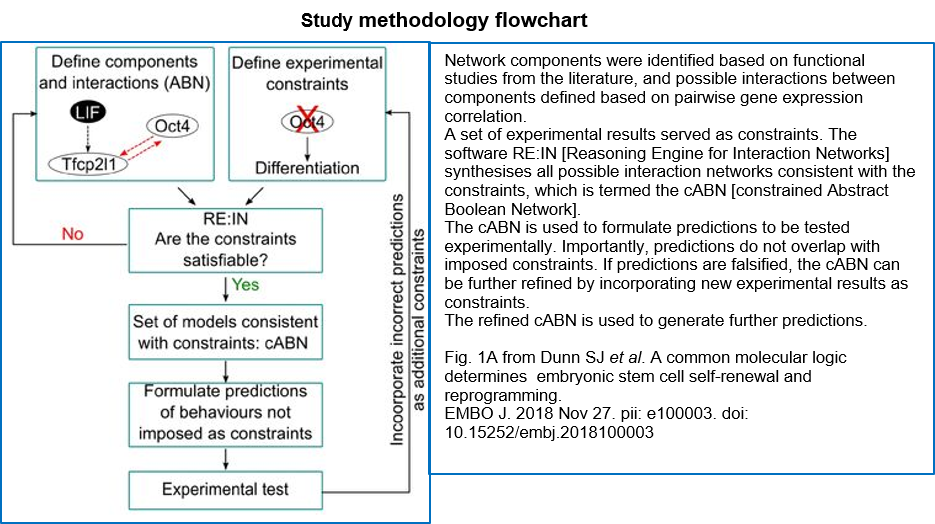 BiomedRevon's tweet photo. #Stemcell state induction is #deterministic—shows experimentally constrained #networkmodelling. Apparent resetting randomness is due to exp./biol.(chromatin state…) variability. Same #geneticprogram controls SC maintenance,+redundant #genes for robustness.https://t.co/qYT1sw006h https://t.co/Xl5ZmSnH0e