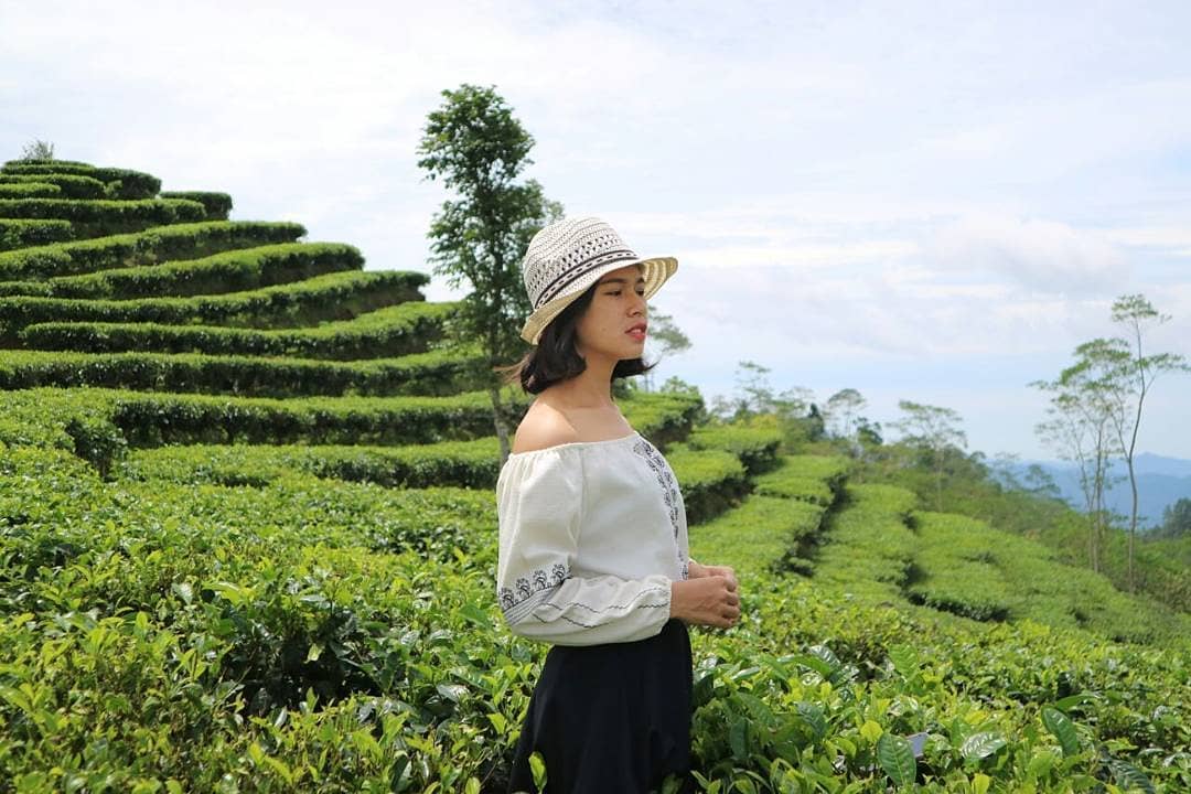 18. Kebun Teh Nglinggo

Kesejukan kebun teh dan ramahnya penduduk bisa kita temui di Kebun Teh Nglinggo Kulon Progo 

#LiburanAkhirTahunKemana