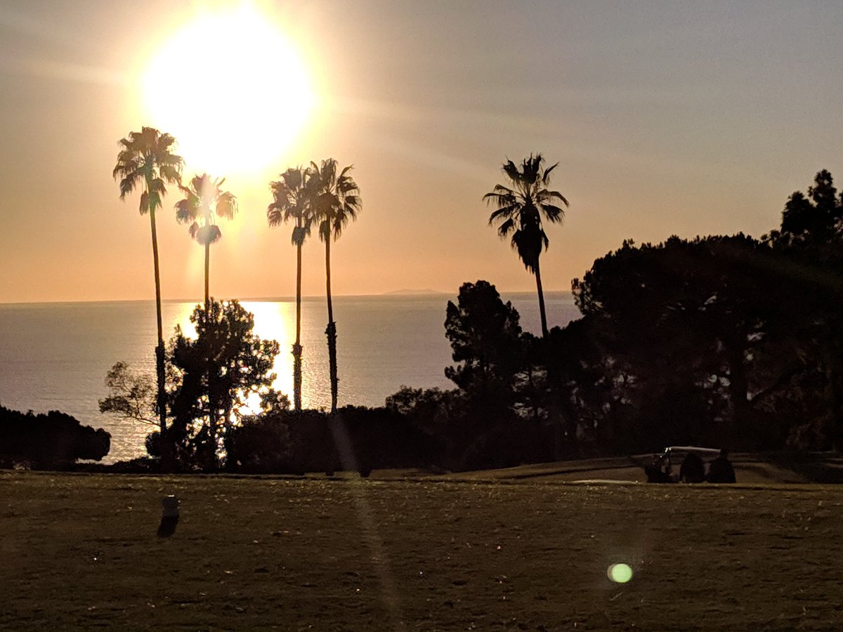 Todd MacIntyre tweet media