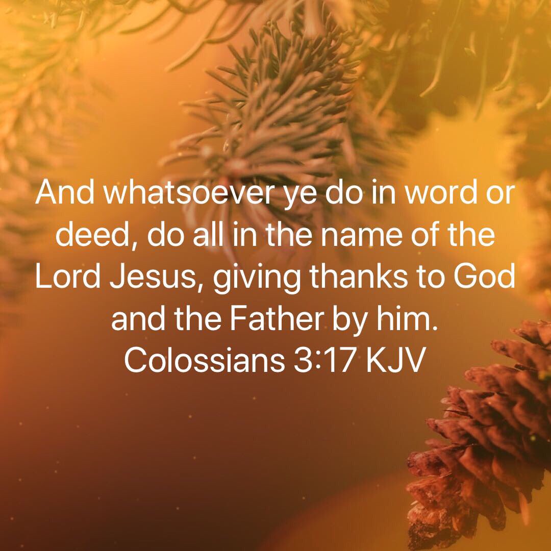 🇺🇸Randy Smith🇺🇸 (@smithrandyusa) on Twitter photo 