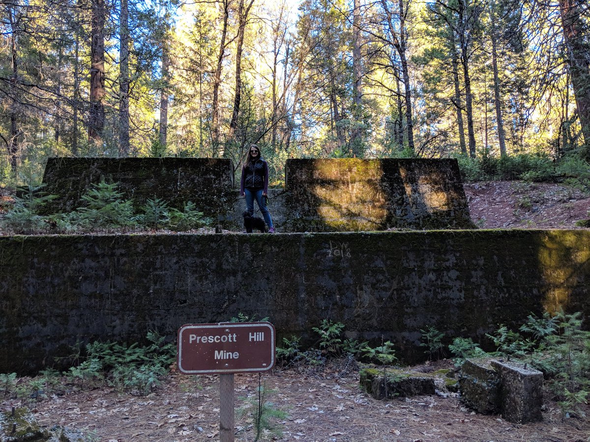 MrBilboWaggins's tweet photo. Guys! I got to go on a really long walk that was in the woods! I think it is called a hike!! It was so much fun!!! #bestdayever #adventuredog #gonnaeateverything #somanysticks #lovevacations #nowimtired #zzzzzz https://t.co/mLN8r9OxzZ