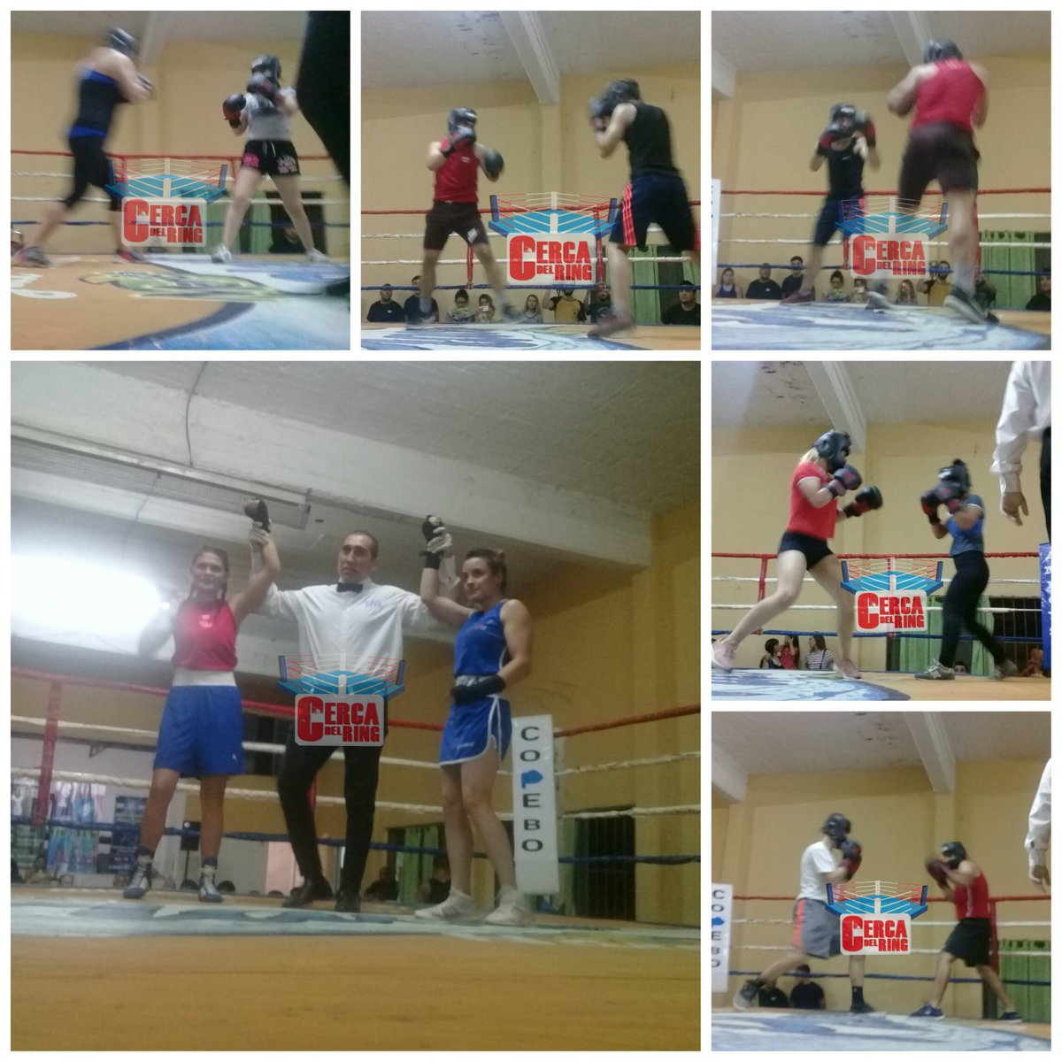 cercadelring's tweet photo. Exhibiciones en el Club #OnceRayos de #MerloNorte:
#MelaniMaidana v #FlorenciaSalasar
#GonzaloGomez v #EmanuelGomez
#DamianGomez v #ArielSilveira
#EmilceCorregidor v #MagalíAlmaraz
#DemianRodriguez v #NahuelGonzalez
#CandelaBraga v #CamilaAlegre
#CDREnTodosLados #CercaDelRing https://t.co/CrCqhP88n8