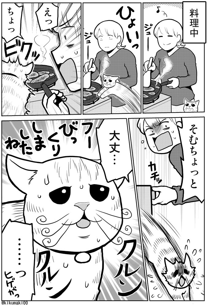 ヒゲ　#タレ目猫そむ　#タレ目猫そむが可愛すぎるんじゃ 